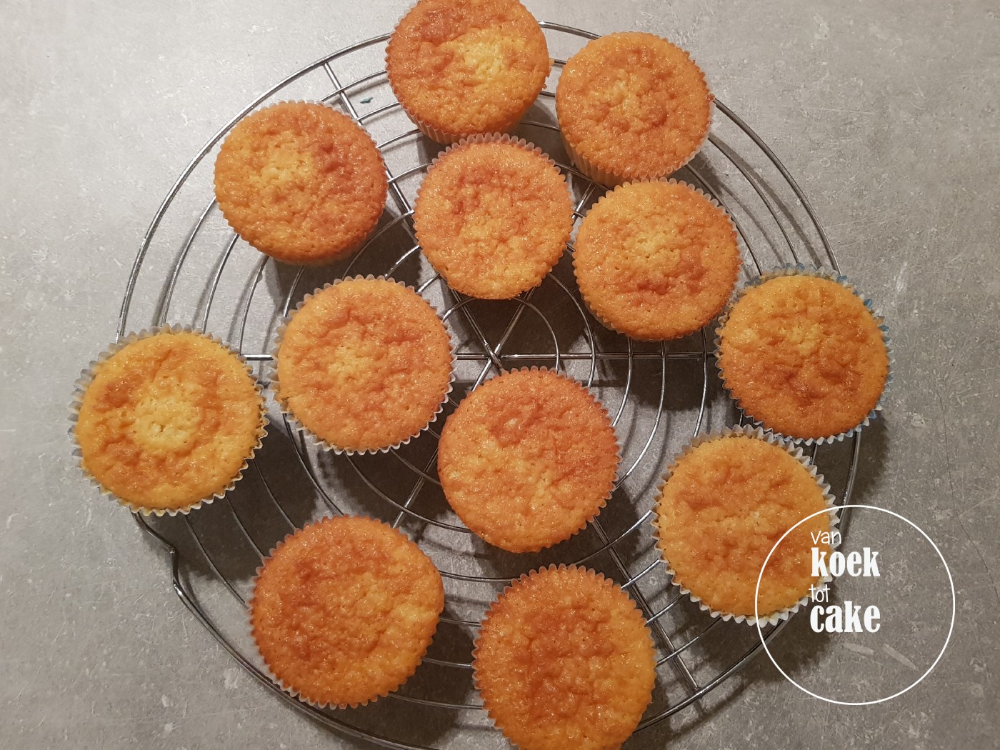 recept van koek tot cake vanille cupcakes