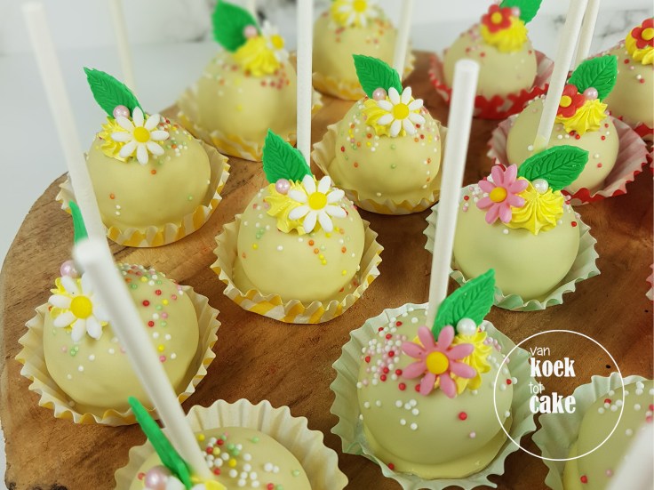 Maya de Bij kindertaart verjaardagstaart cupcakes en cakepops | Bestellen Zeeland Vlissingen Middelburg Oost-Souburg