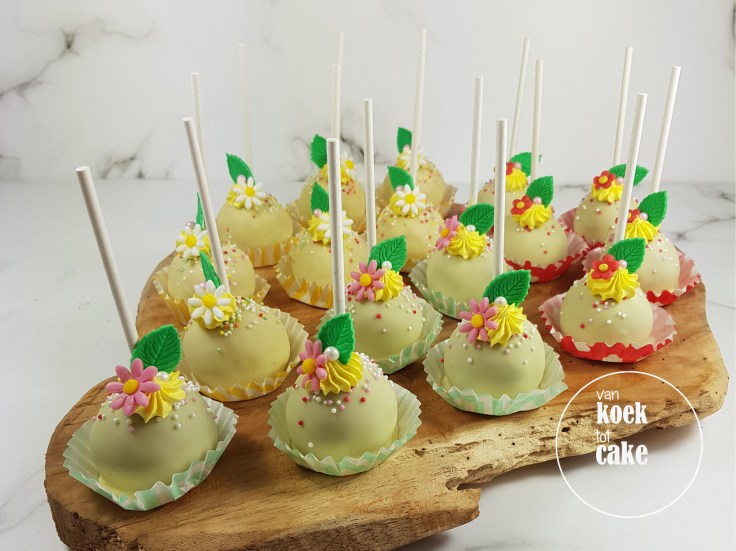 Maya de Bij kindertaart verjaardagstaart cupcakes en cakepops | Bestellen Zeeland Vlissingen Middelburg Oost-Souburg