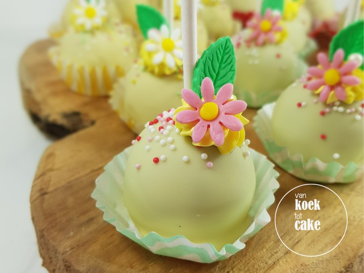 Maya de Bij kindertaart verjaardagstaart cupcakes en cakepops | Bestellen Zeeland Vlissingen Middelburg Oost-Souburg