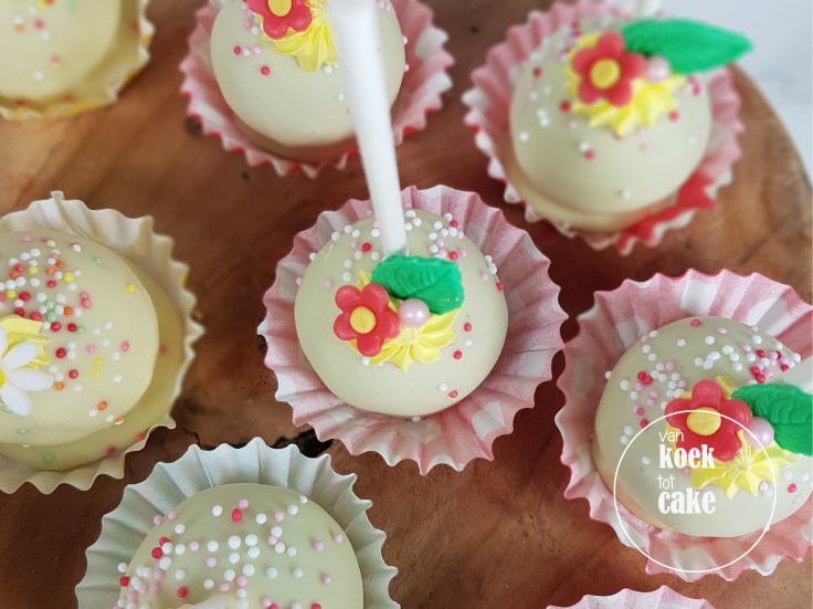 Maya de Bij kindertaart verjaardagstaart cupcakes en cakepops | Bestellen Zeeland Vlissingen Middelburg Oost-Souburg