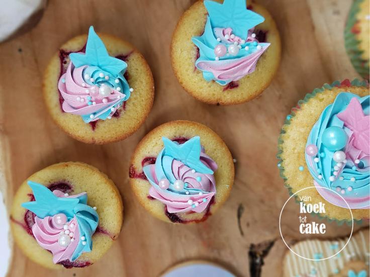 Babyshower gebak cupcakes taart koekjes en hapjes | Bestellen Zeeland Middelburg Oost-Souburg Vlissingen